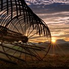 Make Hay